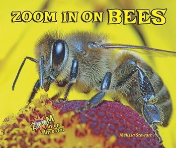 Zoom in on Bees by Melissa Stewart, 9780766042100