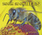 Zoom in on Bees by Melissa Stewart, 9780766042100