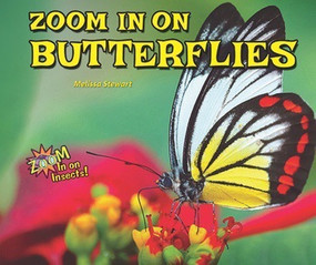 Zoom in on Butterflies by Melissa Stewart, 9780766042117