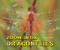 Zoom in on Dragonflies by Melissa Stewart, 9780766042124