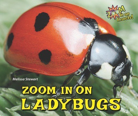 Zoom in on Ladybugs by Melissa Stewart, 9780766042155