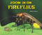 Zoom in on Fireflies - 9781464403699 by Melissa Stewart, 9781464403699