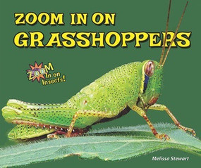 Zoom in on Grasshoppers - 9781464403712 by Melissa Stewart, 9781464403712