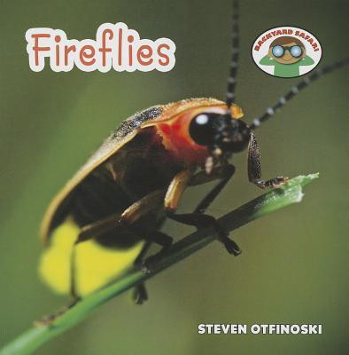 Fireflies - 9781627123082 by Steven Otfinoski, 9781627123082
