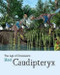 Meet Caudipteryx - 9781627126113 by Sheryn Knight, 9781627126113