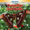 Butterflies and Moths (Represent and Interpret Data) - 9781477764633 by Naomi Reagan, 9781477764633
