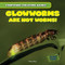 Glowworms Are Not Worms! by Daisy Allyn, 9781482409413