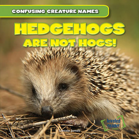 Hedgehogs Are Not Hogs! by Lincoln James, 9781482409512