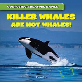 Killer Whales Are Not Whales! by Daisy Allyn, 9781482409611