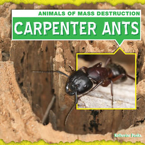 Carpenter Ants by Katherine Ponka, 9781482410242