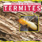 Termites - 9781482410433 by Mark J. Harasymiw, 9781482410433