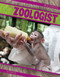 Be a Zoologist by Blair Belton, 9781482412864
