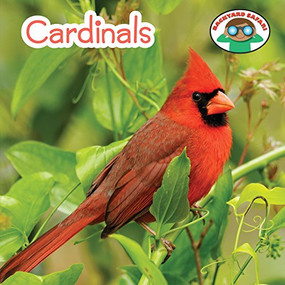 Cardinals - 9781627128230 by Wil Mara, 9781627128230
