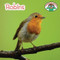 Robins - 9781627128254 by Wil Mara, 9781627128254