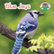 Blue Jays - 9781627128346 by Wil Mara, 9781627128346