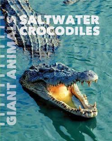 Saltwater Crocodiles by Susan Schafer, 9781627129572