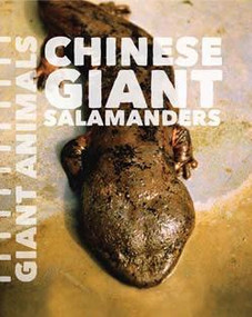 Chinese Giant Salamanders by Susan Schafer, 9781627129602