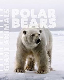 Polar Bears - 9781627129633 by Rebecca Stefoff, 9781627129633