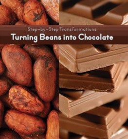 Turning Beans into Chocolate by Herald P. McKinley, 9781627130042