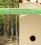Turning Trees into Paper by Dawn L. James, 9781627130073