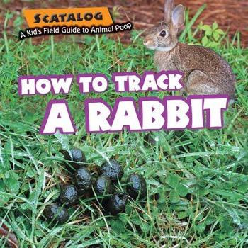 How to Track a Rabbit - 9781477754344 by Norman D. Graubart, 9781477754344