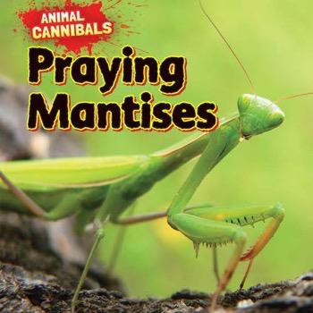 Praying Mantises - 9781477757710 by Sam Hesper, 9781477757710