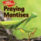 Praying Mantises - 9781477757710 by Sam Hesper, 9781477757710