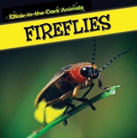 Fireflies - 9781499401141 by Sara Howell, 9781499401141