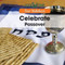 Celebrate Passover by Amy Hayes, 9781502602398