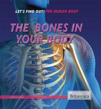 The Bones in Your Body - 9781622756247 by Laura Loria, 9781622756247