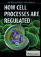 How Cell Processes Are Regulated by Lois Sakany, Clementine Tucker, 9781622758098