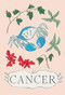 Cancer - 9781914317965 by Liberty Phi, 9781914317965