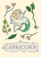 Capricorn - 9781804530023 by Liberty Phi, 9781804530023