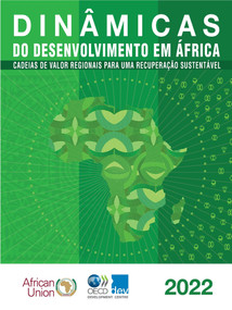 Dinâmicas do desenvolvimento em África 2022 Cadeias de valor regionais para uma recuperação sustentável by , 9789264934146