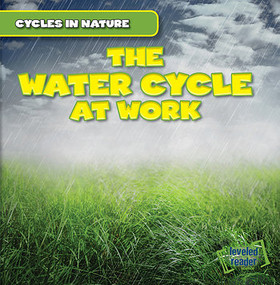 The Water Cycle at Work - 9781482416718 by George Pendergast, 9781482416718
