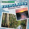 Everglades National Park by Kathleen Connors, 9781482416787