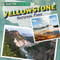 Yellowstone National Park - 9781482416916 by Frances Nagle, 9781482416916
