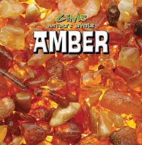 Amber - 9781482428520 by Michael Rajczak, 9781482428520