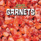 Garnets by Amy Hayes, 9781482428643