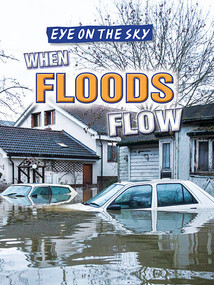 When Floods Flow by Barbara M. Linde, 9781482428803