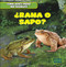 ¿Rana o sapo? (Frog or Toad?) by Rob Ryndak, 9781482432541