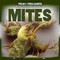 Mites - 9781499407617 by Lorraine Harrison, 9781499407617
