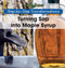 Turning Sap into Maple Syrup - 9781502604583 by Amy Hayes, 9781502604583