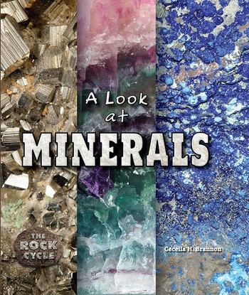 A Look at Minerals by Cecelia H. Brannon, 9780766073074