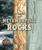 A Look at Metamorphic Rocks by Cecelia H. Brannon, 9780766073203