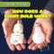 How Does a Light Bulb Work? by Demi Jackson, 9781482438178