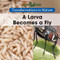 A Larva Becomes a Fly - 9781502608321 by Amy Hayes, 9781502608321
