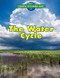 The Water Cycle - 9781502608604 by Nancy Dickmann, 9781502608604
