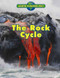 The Rock Cycle - 9781502608703 by Nancy Dickmann, 9781502608703