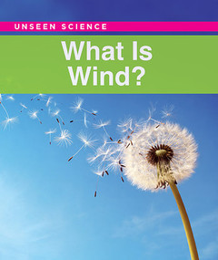 What Is Wind? by Linda Ivancic, 9781502609236